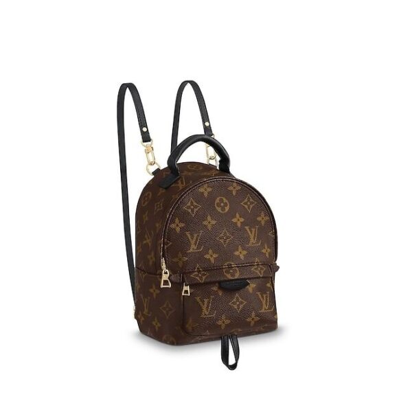 Louis Vuitton Palm Springs Backpack Mini