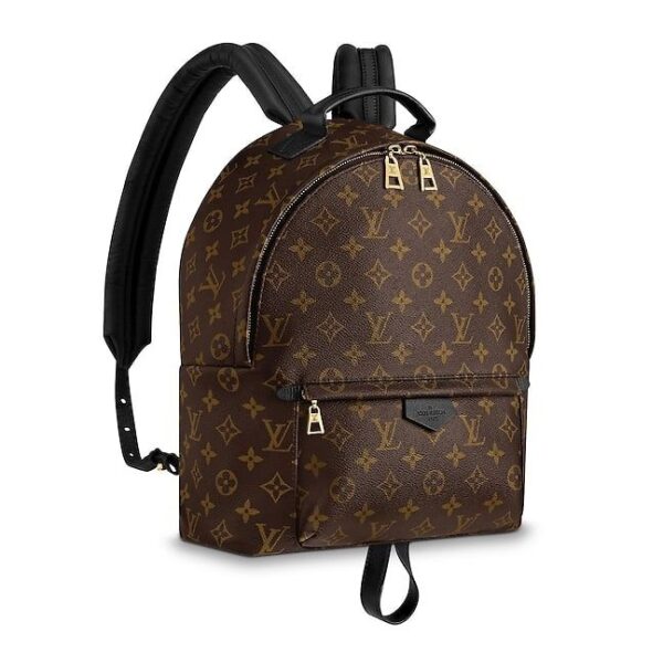 Louis Vuitton Palm Springs Backpack MM