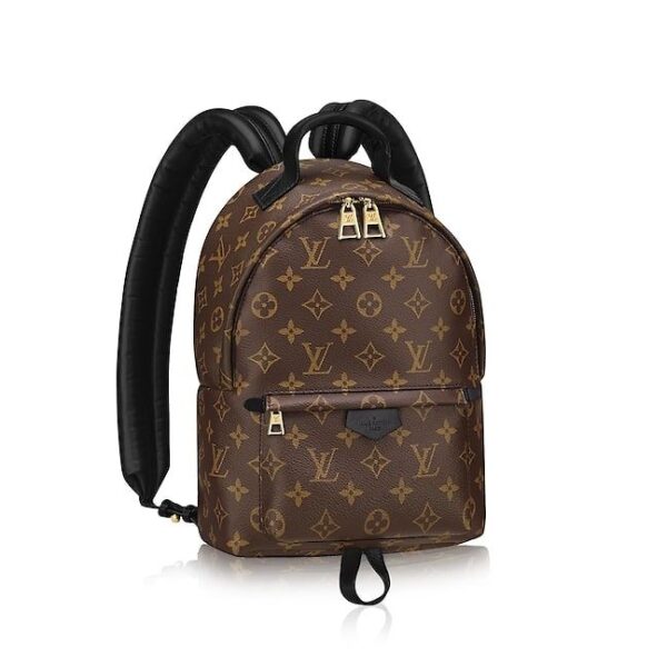 Louis Vuitton Palm Springs Backpack PM